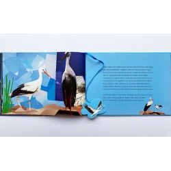 1113 Bilderbuch Albert der Storch 2010