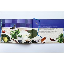 1113fa Bilderbuch Karl der Krebs 2012