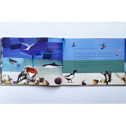 1113fa Bilderbuch Karl der Krebs 2012