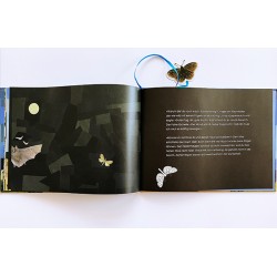 1113ea Bilderbuch Jonas der Schmetterling 2012