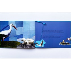 1112c Bilderbuch Albert der Storch 2010