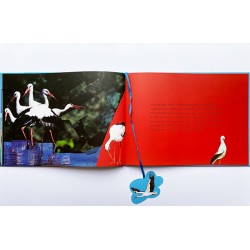 1112c Bilderbuch Albert der Storch 2010