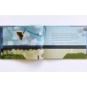 2002 Bilderbuch Jonas der Schmetterling 2012