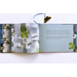 2002 Bilderbuch Jonas der Schmetterling 2012
