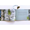 2002 Bilderbuch Jonas der Schmetterling 2012