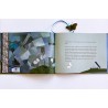 2002 Bilderbuch Jonas der Schmetterling 2012