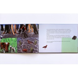 2001 Bilderbuch Hauke das Schaf 2010