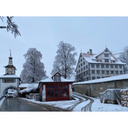 1185 Korallenmeer für Schloss Hauptwil