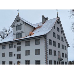1185 Korallenmeer für Schloss Hauptwil
