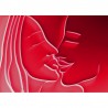 kiss, phase 2, foto auf alu dibond, 70/50cm